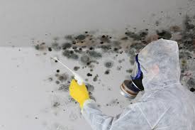 Best Forensic Mold Investigation  in Colonia, NJ